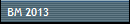 BM 2013